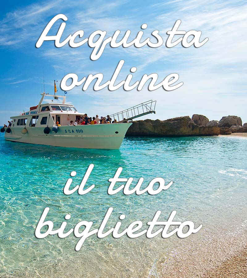 Acquista online il biglietto per cale in Sardegna